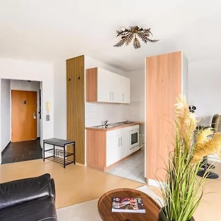 Studio Apart - Kueche - Balkon - Netflix Bad Säckingen Exterior foto